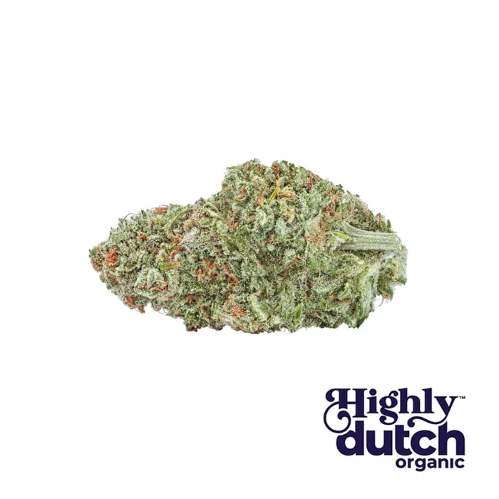 Amsterdam Sativa Organic (Cherry Mints) 28g (Highly Dutch Organic)