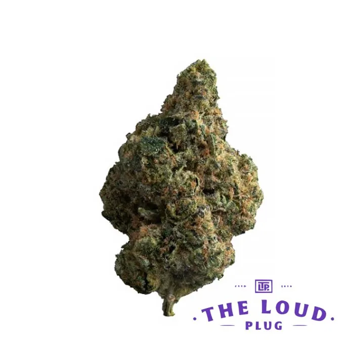 Exotic Gas 28g (The Loud Plug)
