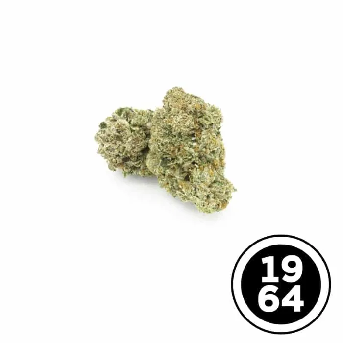 Comatose 1g (1964)