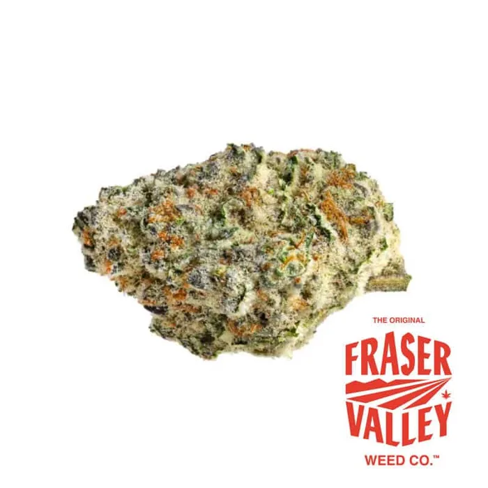 Strawberry Amnesia 28g  (The Original Fraser Valley Weed Co.)
